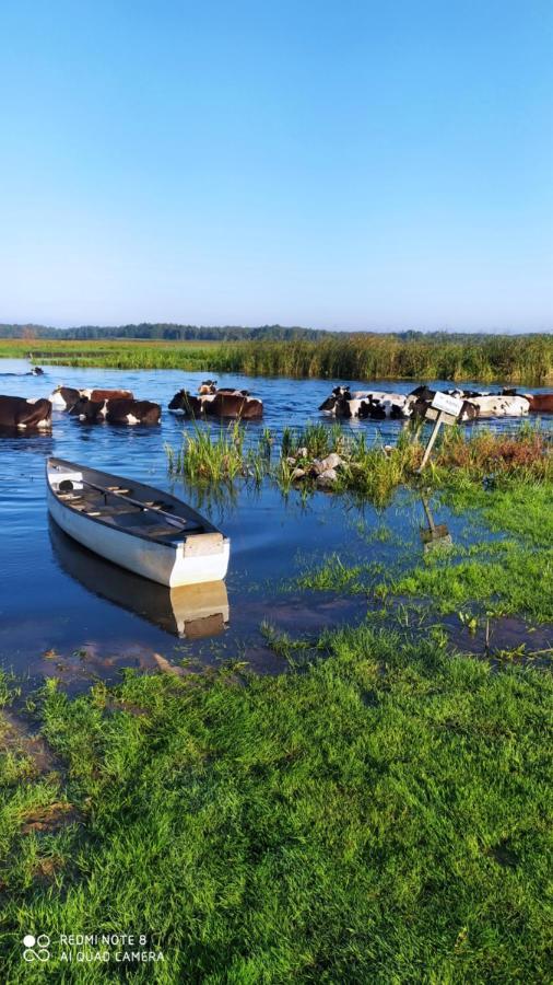 Farm stay Wrota Biebrzy