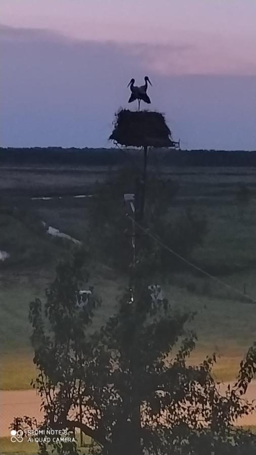 Wrota Biebrzy Farm stay Wrocen